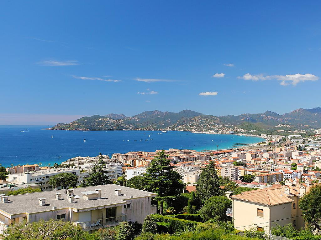 Rêve d'Or