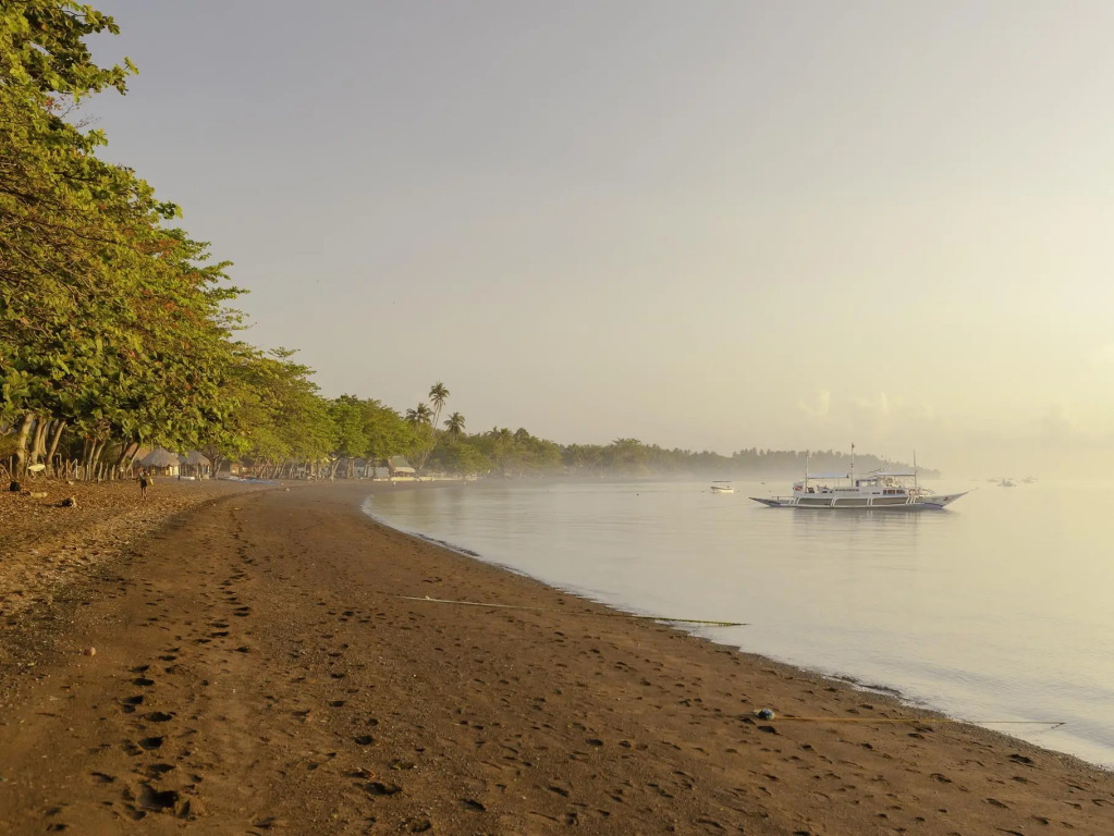 Mikes Dauin Dive Resort