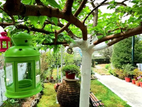 Vasiliki Guest House