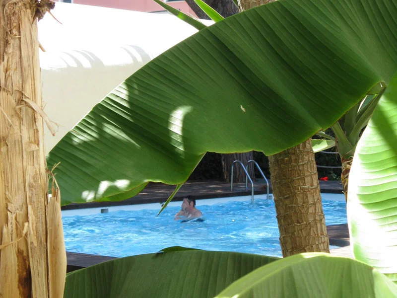 Marina Garden Hotel