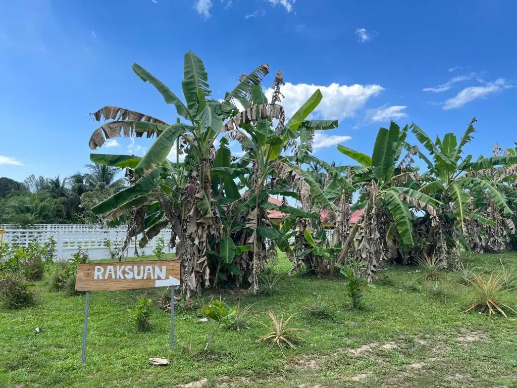 Rak Suan Homestay รักสวนโฮมสเตย์