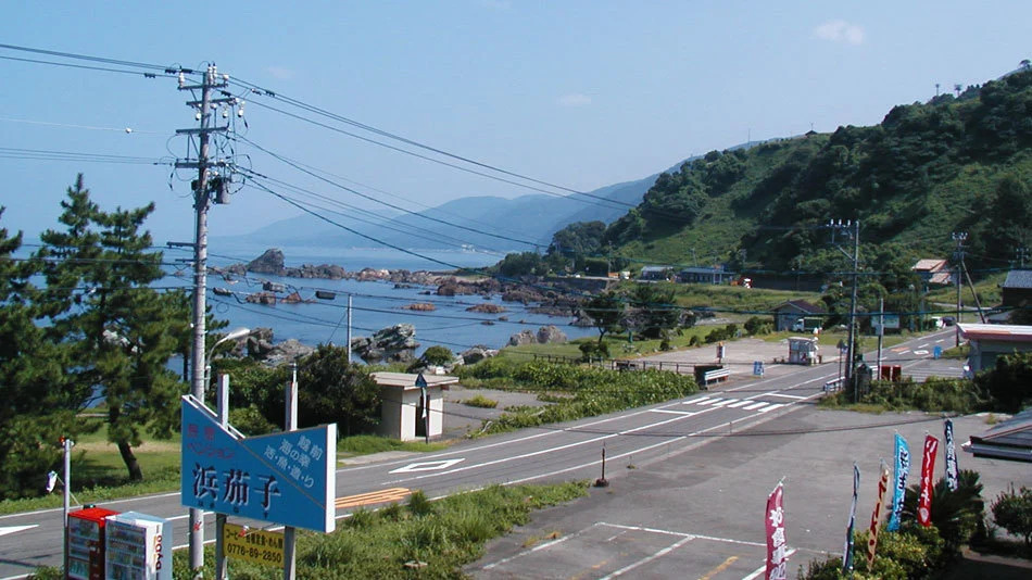 Hamanasu