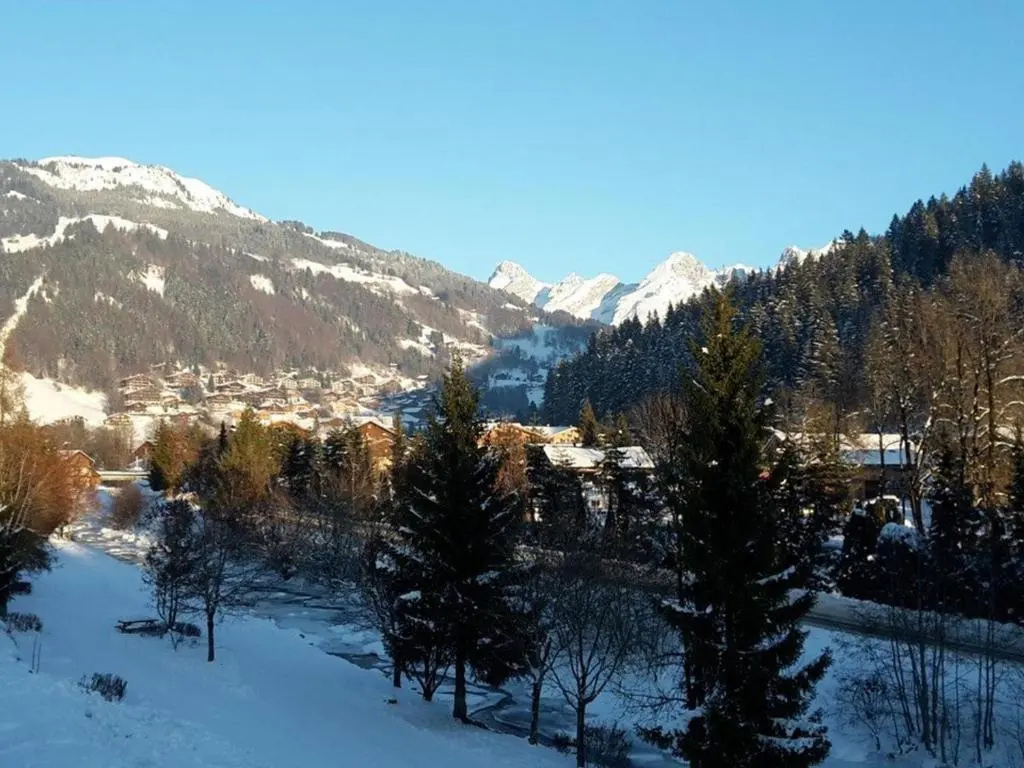 Appartement Le Grand-Bornand, 2 pièces, 6 personnes - FR-1-241-111