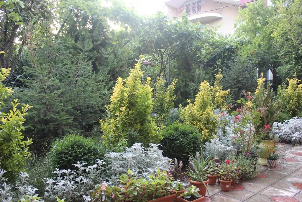 Hotel Panafi