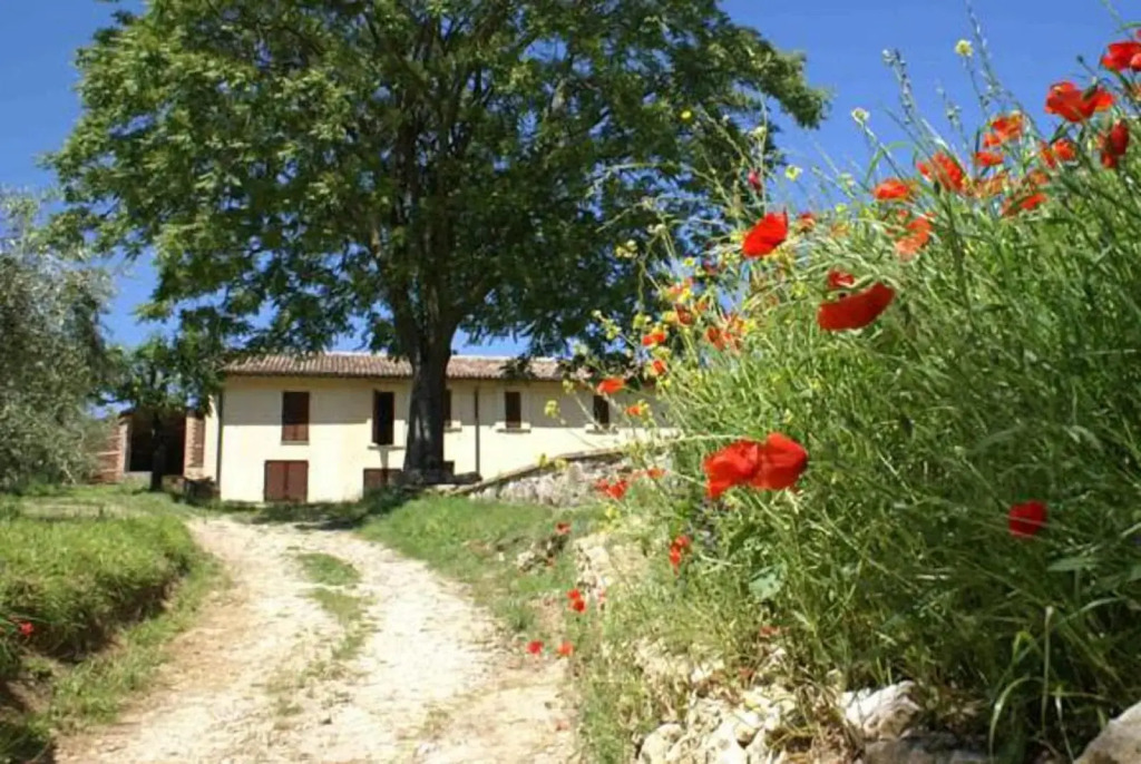 La Perticara
