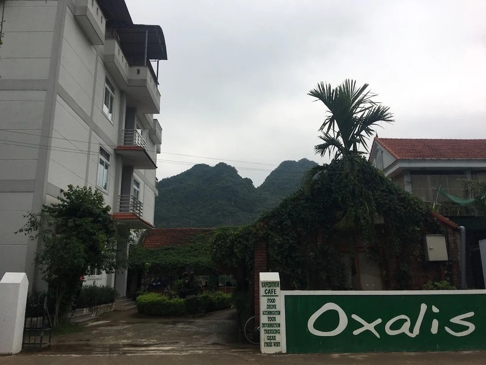 Oxalis Home