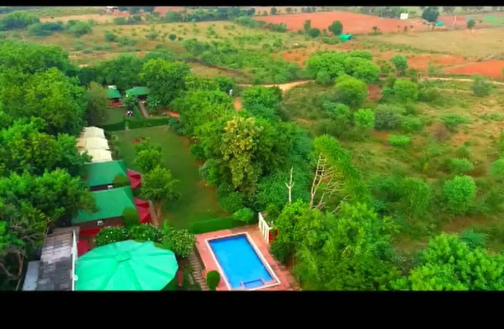 Jungle View Resort