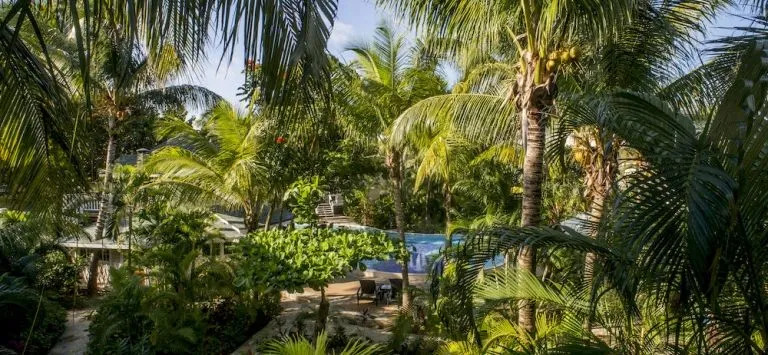 Paradise Oceanic Hotel