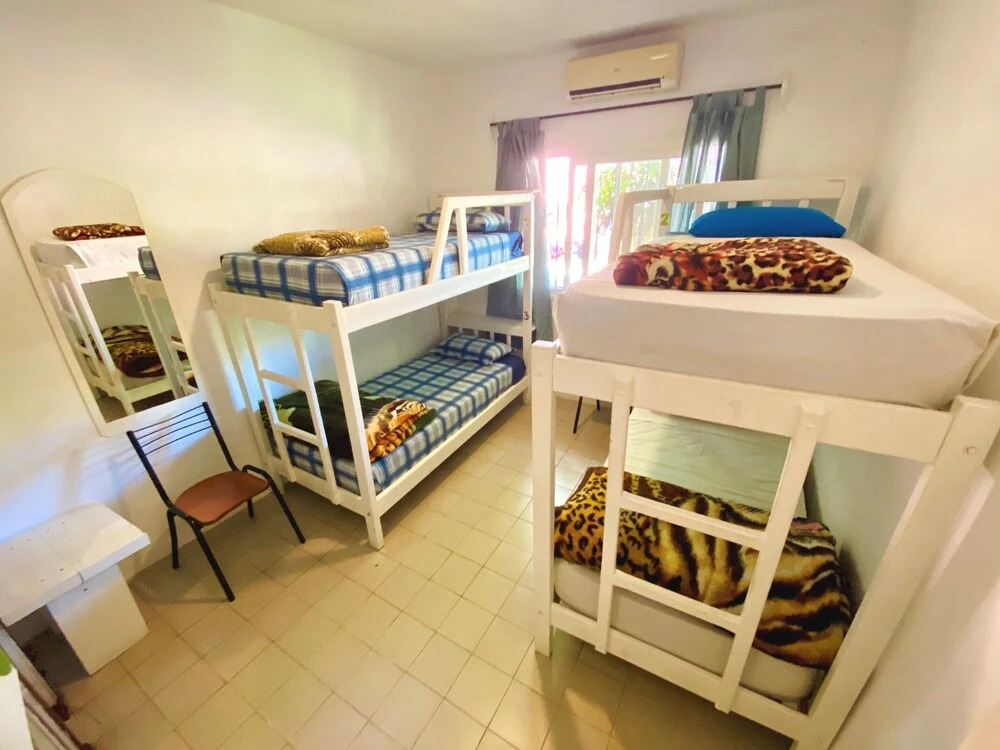 Hostel & Bar Bamboo