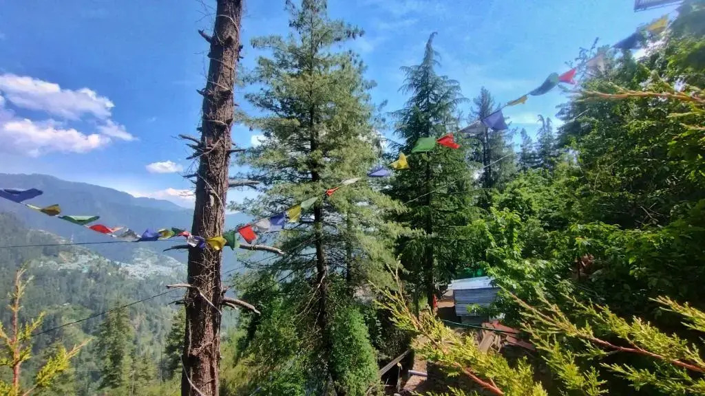 Wonder Hill Inn Narkanda Himachal Pradesh