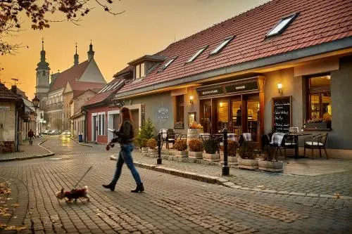 Pension & Restaurant PATRIOT Trnava