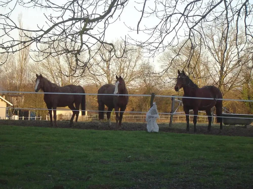Ferme Passion
