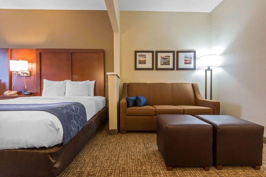 Comfort Suites Rochester Henrietta University Area