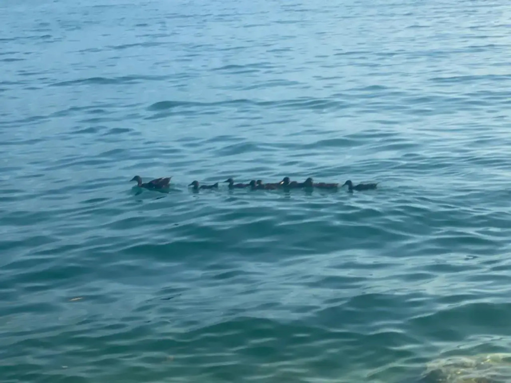 10 Minuti Dal Lago di Garda E Da Gardaland