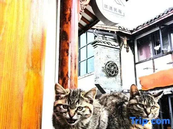 Qiyu Homestay