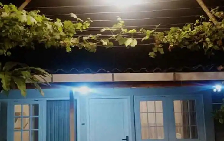 The Bloomy House