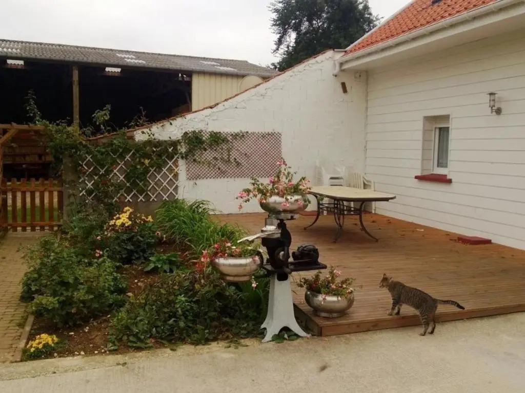 Grande maison de campagne avec jardin, terrasse, accueil chevaux, proche plage de Wissant, animaux OK - FR-1-376-39