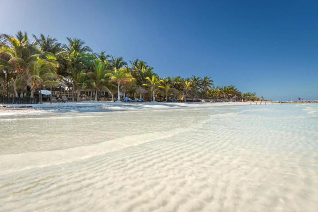 Beachfront Hotel La Palapa