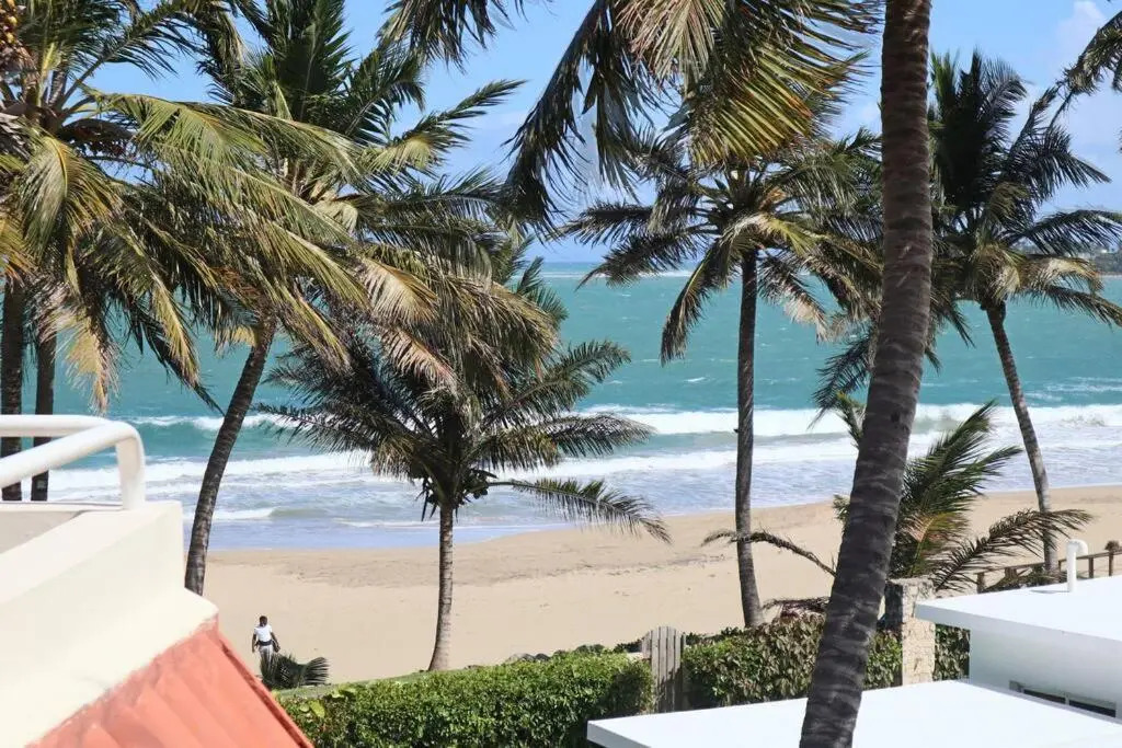 Nanny Estate Cabarete Beachfront Condos Unit A2