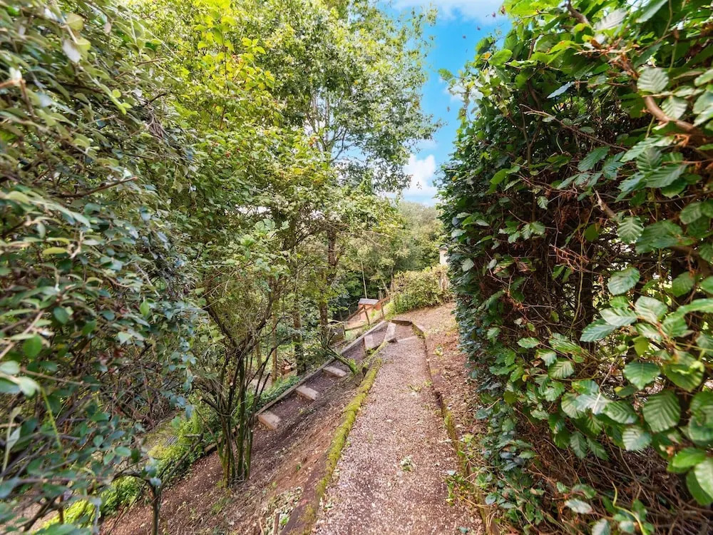 Forest Retreat in Bouillon
