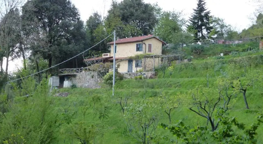 Rustico Leccio