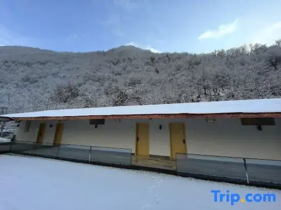 Walnut Tree Soup Spring Homestay