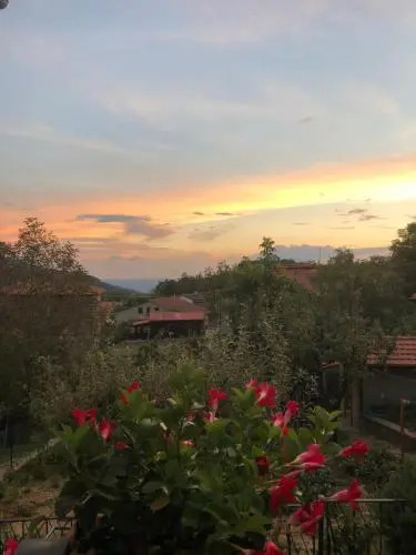 Albergo Ristorante Letizia