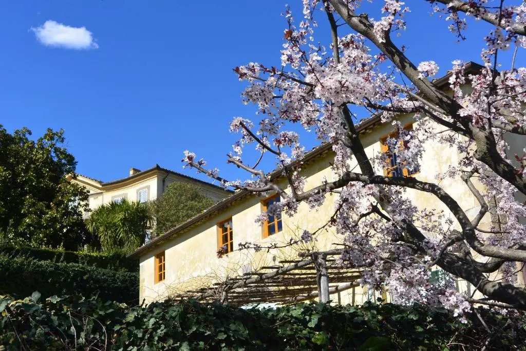 Azienda Agricola Fabbrica Di San Martino