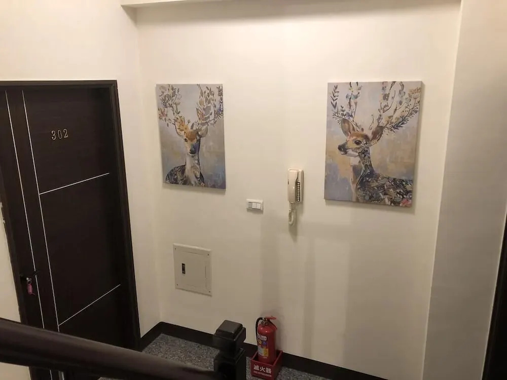Small Cat Hotel