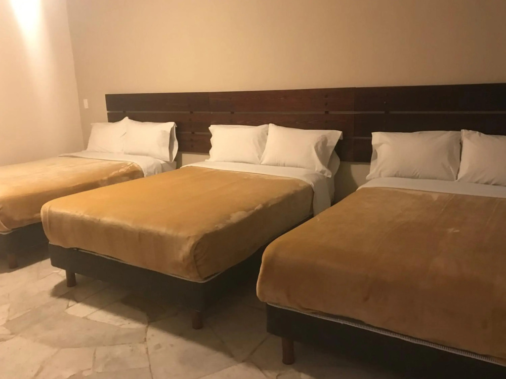 Hotel Camino de Allende