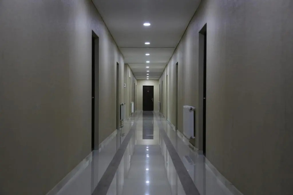 Davit Agmashenebeli N 21