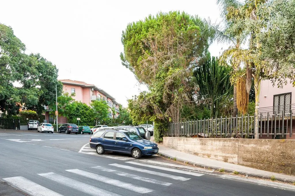 Casa Arrigo