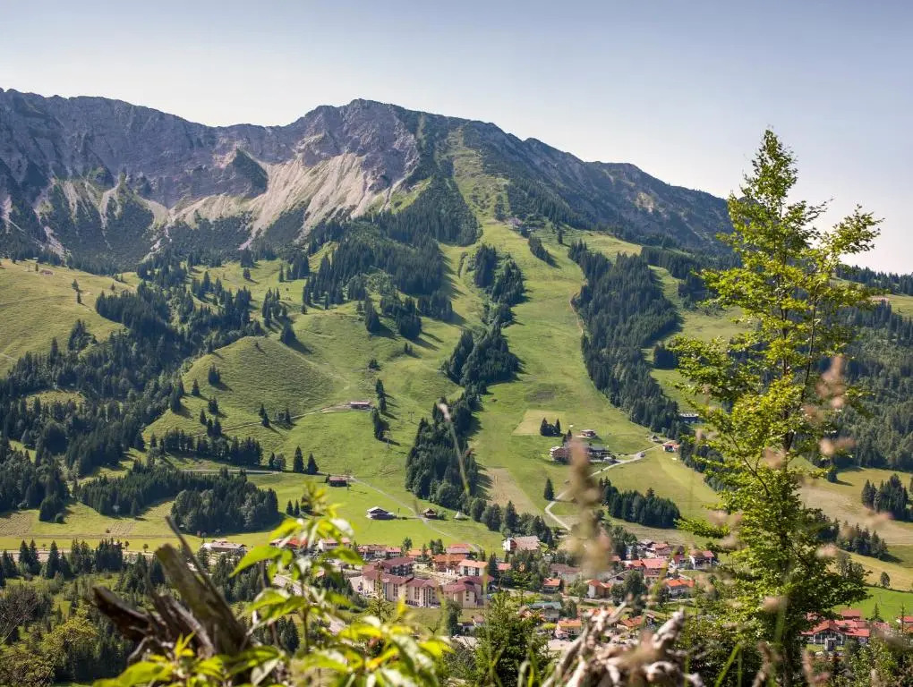 Alpin Chalets Oberjoch
