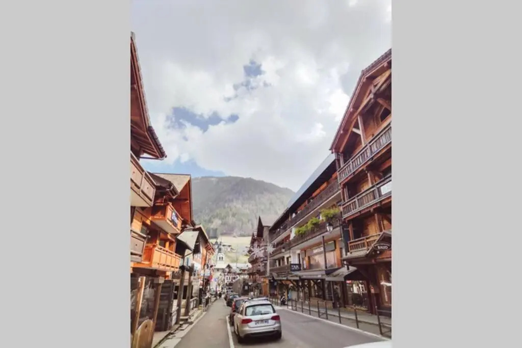 Morzine 2 Pieces Aux Pieds Des Pistes Avec Wifi
