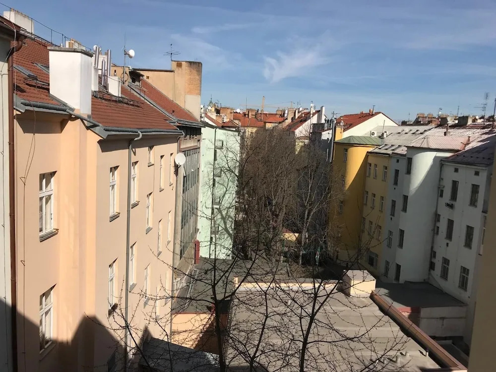 One-bedroom apartment near I.P.Pavlova