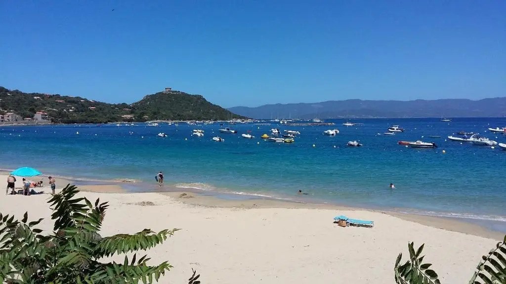 Corsica Monti
