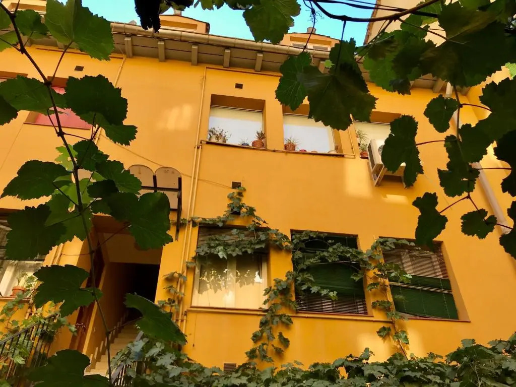 Apartment Olivar