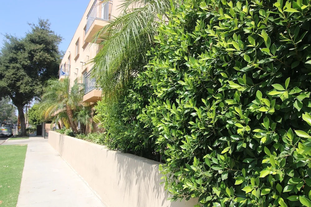 Delightful and Pleasant 2BD Apt