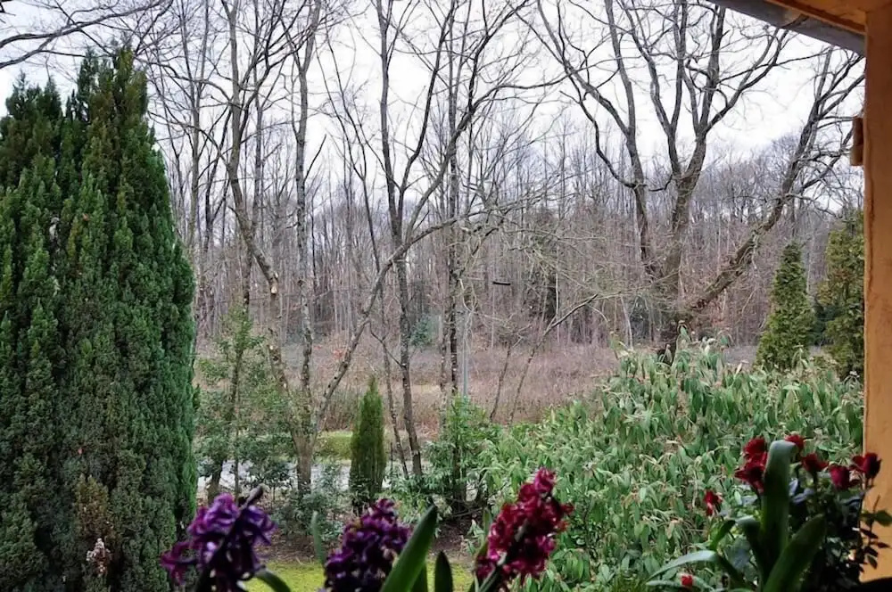 Au Jardin de Lisa