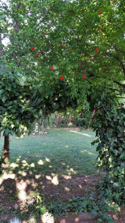 B&B La Cascina di Alice