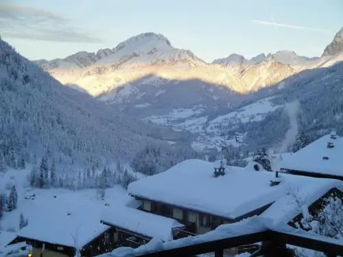 Nouveau !LE CHOUCAS appartements au centre de Chatel avec parking couvert