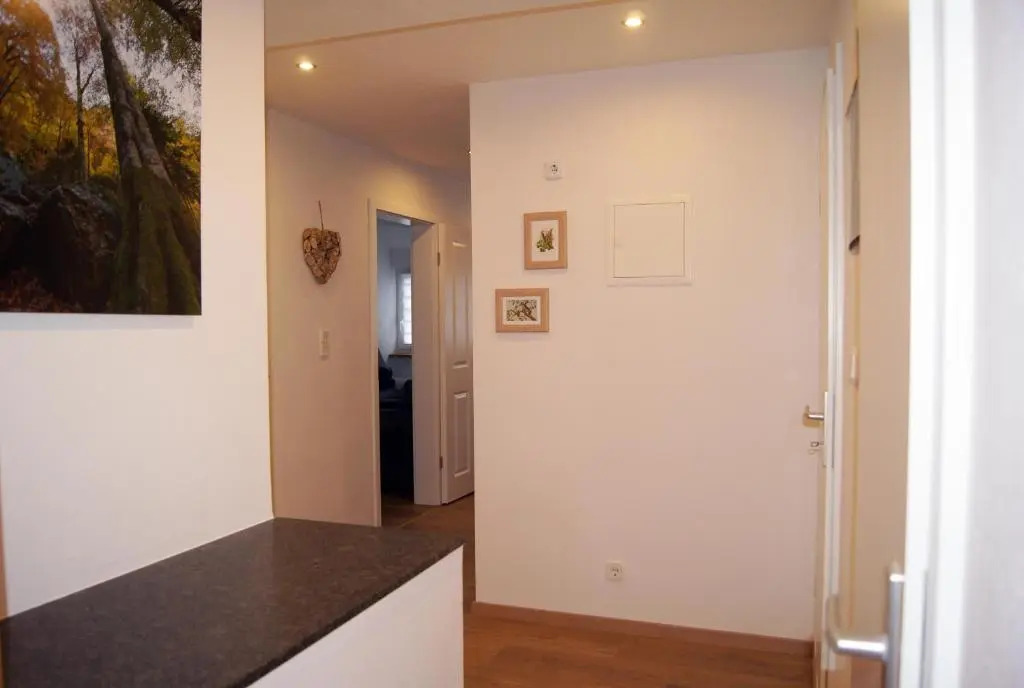 Apartment in Winterberg Near Ski Lift