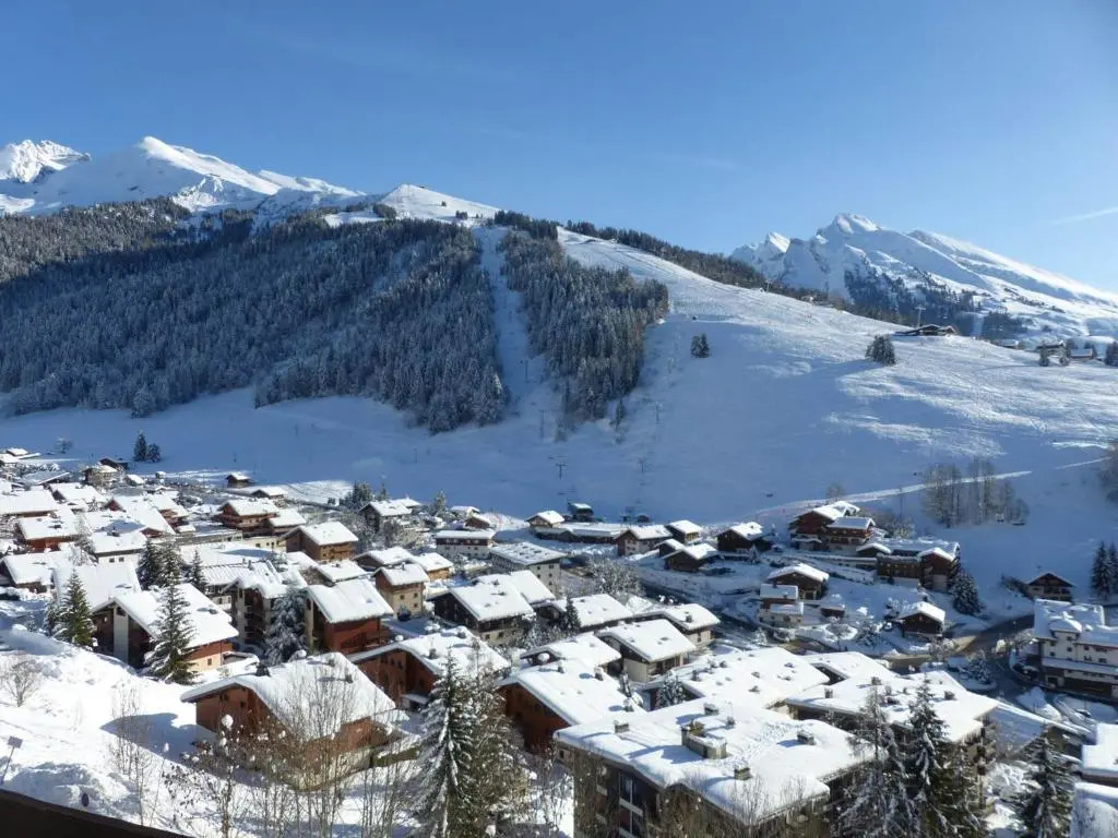 Appartement La Clusaz, 1 pièce, 4 personnes - FR-1-437-8