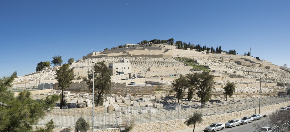Mount of Olives Residence Glatt Kosher