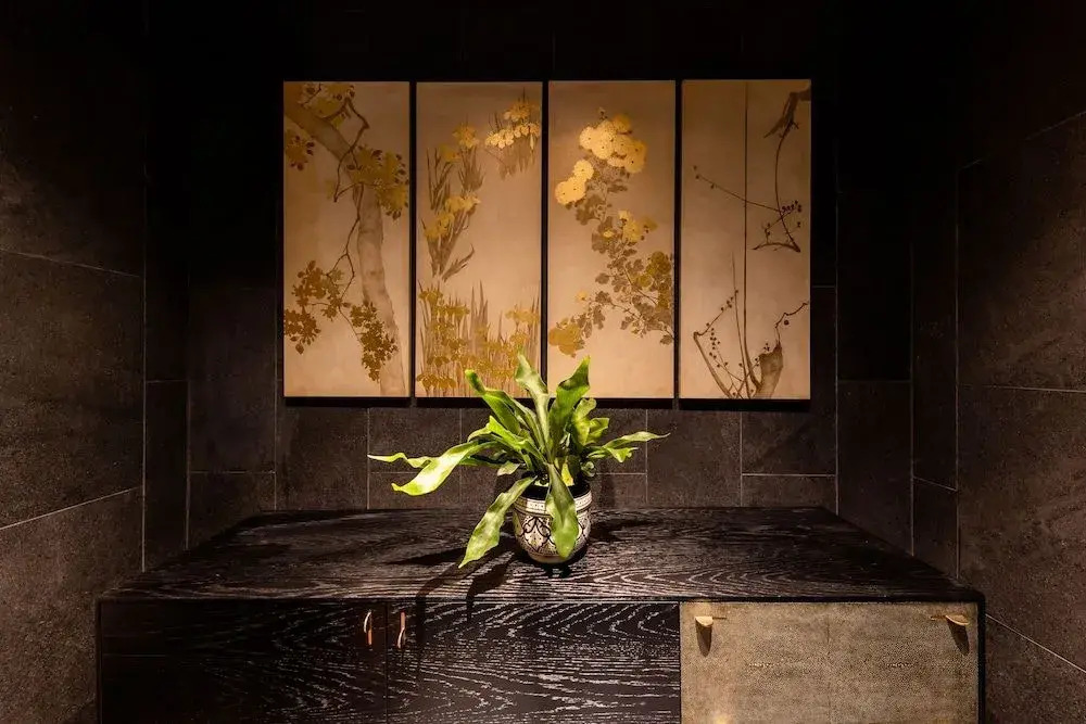 ROKA