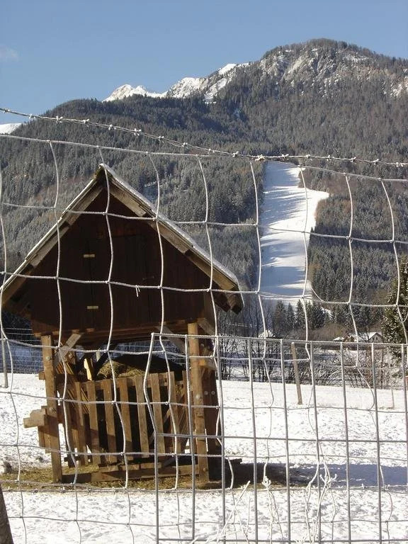 Chalet Schneerose