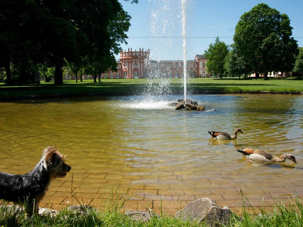 Hotel Am Schlosspark , Wiesbaden