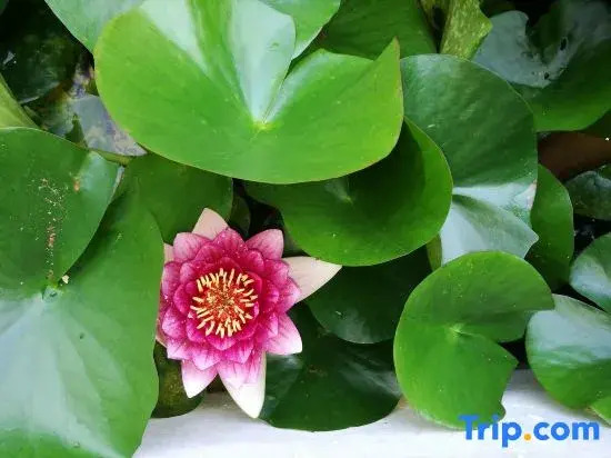 Heming Homestay (Tai'an Branch)