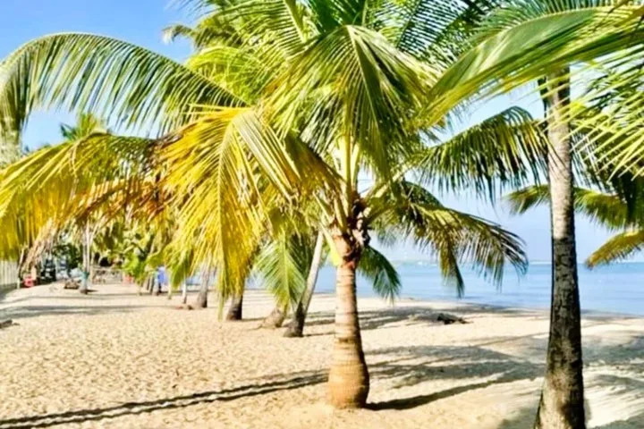 Terraza Del Sol