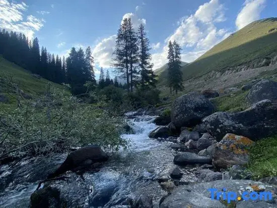Muti · Huaxishan Fangmei Su (Nalati Branch)